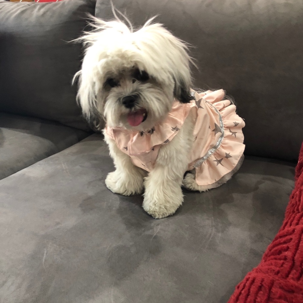 10 piece Mystery 📦-you specify size range